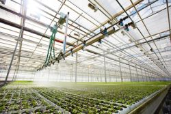Wasserdruckregler, Wasserwächter und Ventile für die Haus- und Bewässerungstechnik Wasserdruckregler, Wasserwächter und Ventile für die Haus- und Bewässerungstechnik